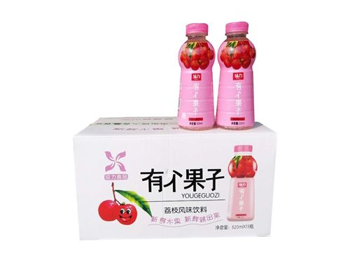 荔枝风味饮料1*15*520ml