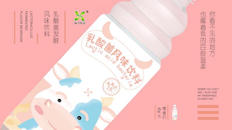 乳酸菌风味饮料1*24瓶*500ml